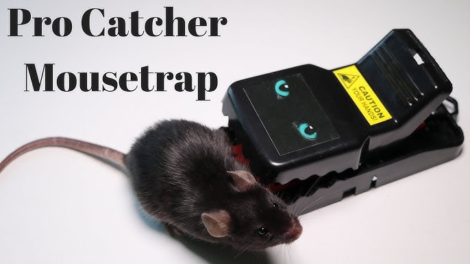 The Big Cheese - Ultra Power Live Multi-Catch Mouse Trap – SPR Centre