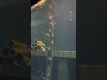 Fangbait 120DR