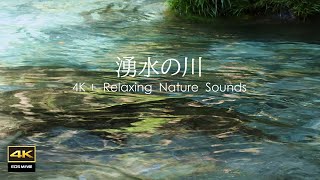 4K映像 ＋ 自然環境音  / 美しい日本の渓流　湧水が流れる円原川