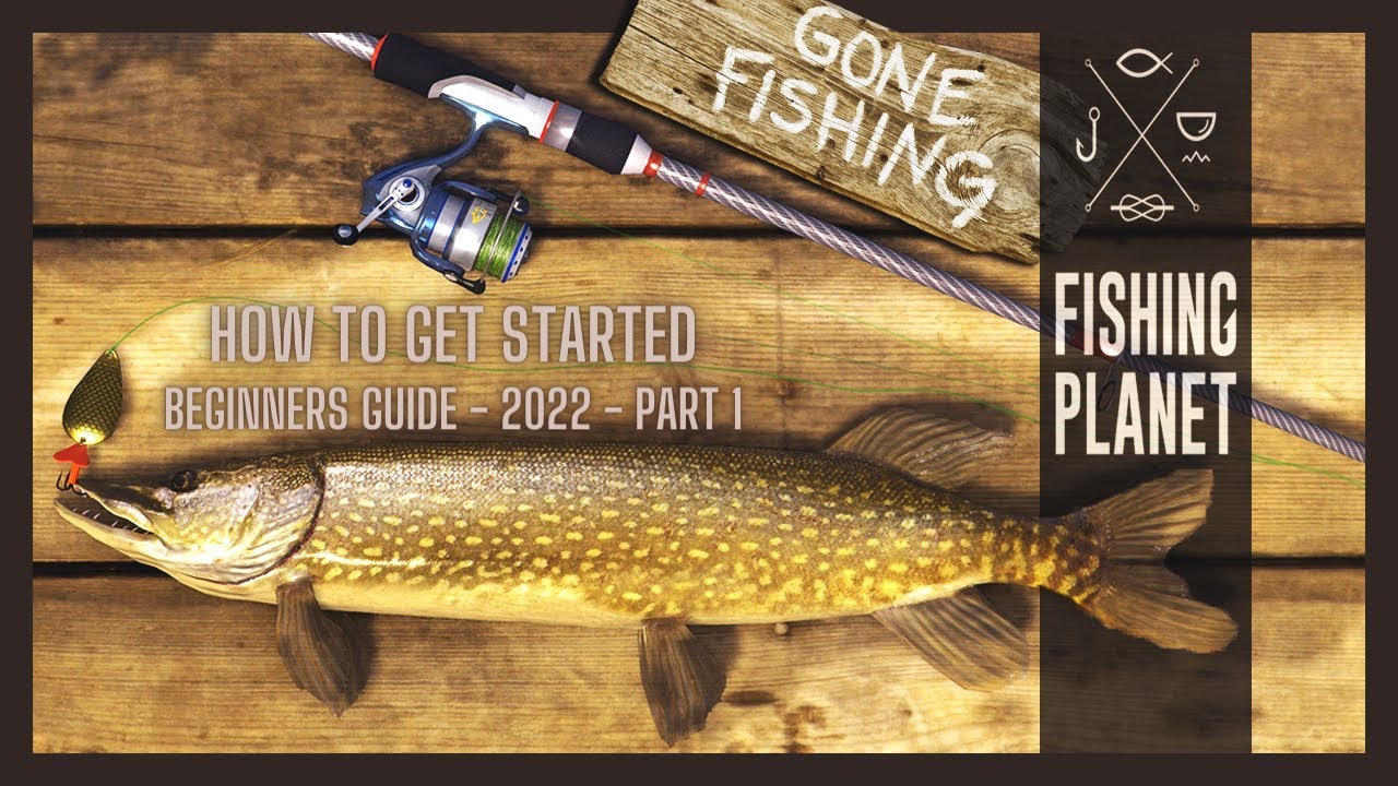 Fishing Planet Beginners Guide  Getting Started as a Low Level