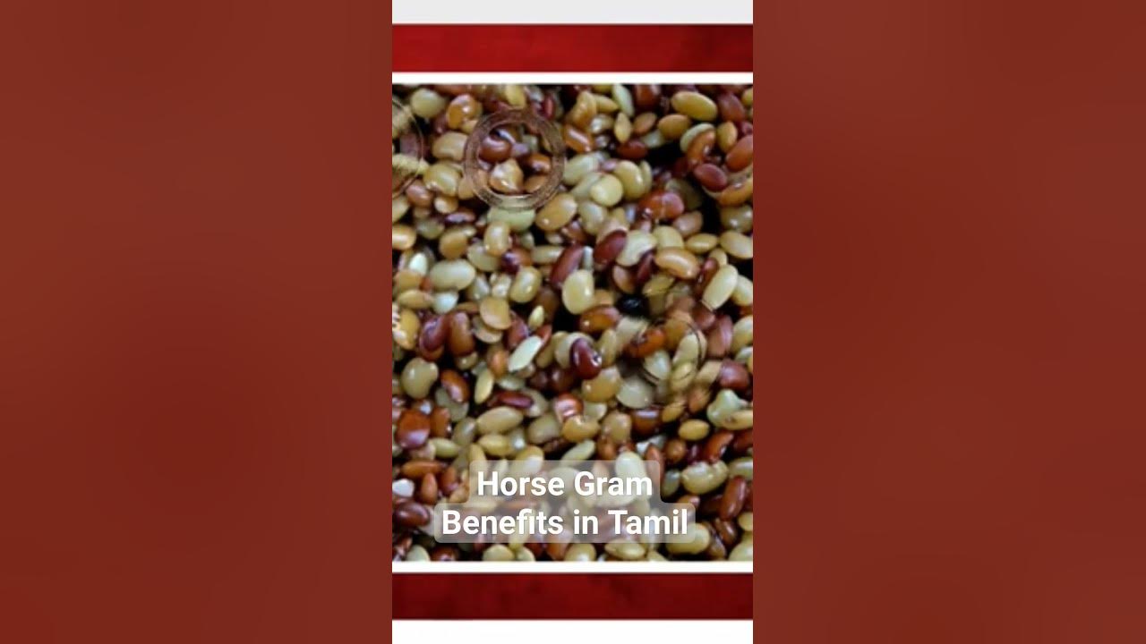 horse-gram-benefits-in-tamil-youtube