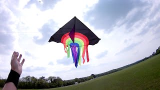 Kites 190516 Durdham Downs Rainbow delta kite