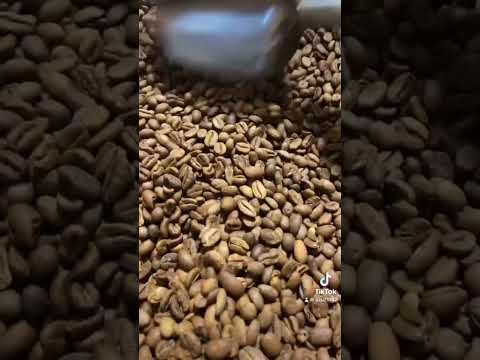 افضل حمسة هرري لعيونكم