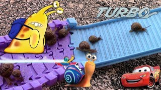 Turbo Snails \ Турбо \ Супер Гонка Улиток \ Новый Трек Для Гонщиков