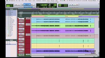 Drum Delay - Video - Transientmobile.com