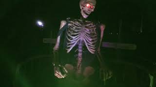 Singing Country Skeleton(Skulltronix)