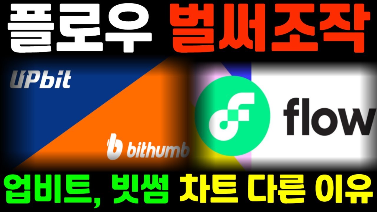 [플로우 코인] 벌써조작? 업비트, 빗썸 차트 다른 이유 *홀더 필수시청 #플로우 코인