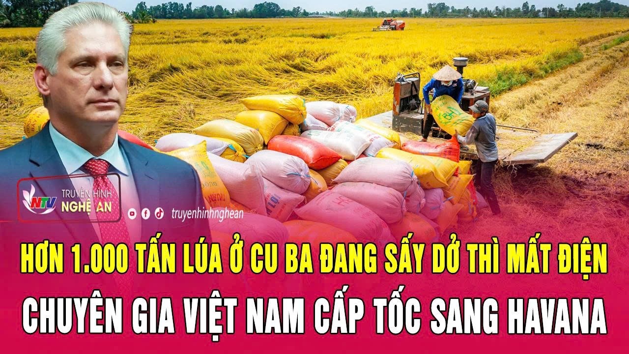 Hơn 1.000 tấn lúa ở Cu Ba đang sấy dở thì mất điện, chuyên gia Việt Nam cấp tốc sang Havana