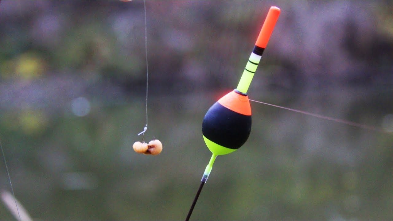 РИБОЛОВ с ЖЪЛЪДОВ ЧЕРВЕЙ-ЛОВИХ КЕФАЛИ с ПЛУВКА на ИЗТИЧАНЕ