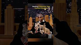 Ranking Celebrities Dog Funniest Moments