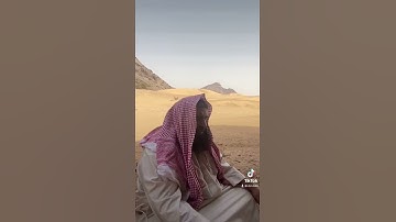 دحيم الحماد 1443ه تلاوة من سورة هود