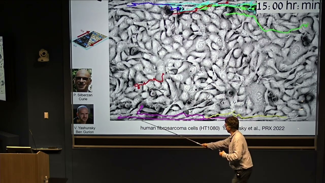 Vincenzo Vitelli: Extreme Mechanics of Tissues (October 23, 2025)