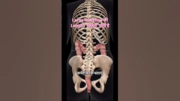 Larger Intestine Length Anatomy Medicalstudent Music Bgm 