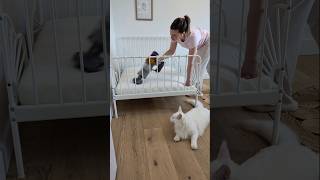 Twins Bedroom Deep Clean As Always, Everything Is Linked In My Amazon Storefronts