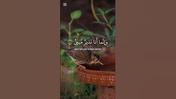 تلاوة خاشعة - عبد الرحمن مسعد#تلاوة_خاشعة #اكسبلور #viralvideo #قرآن