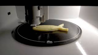 3D food printing with Foodini - Dysphagia application: fish test print screenshot 1