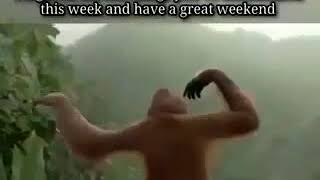 Monkey Dance Happy Friday Very Funny Monkey Dance