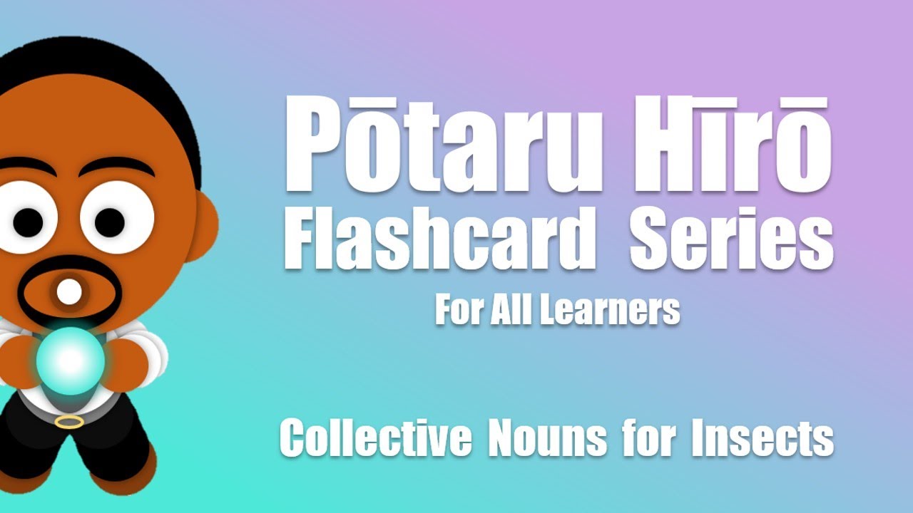 Shichida Insect Flashcards for Learning: Collective nouns for insects (Shichida, Heguru ...