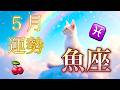 【魚座】5月の運勢❤️大吉報！大チャンス！こ、こ、これはすごい😳願いが叶う…！！運命の大好転🎉無条件の愛❤️‍🔥大復活❤️‍🔥ハッピーサプライズ🌈マンスリー　2026年　タロット