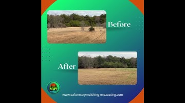 Forestry Mulched Field & Fence Line