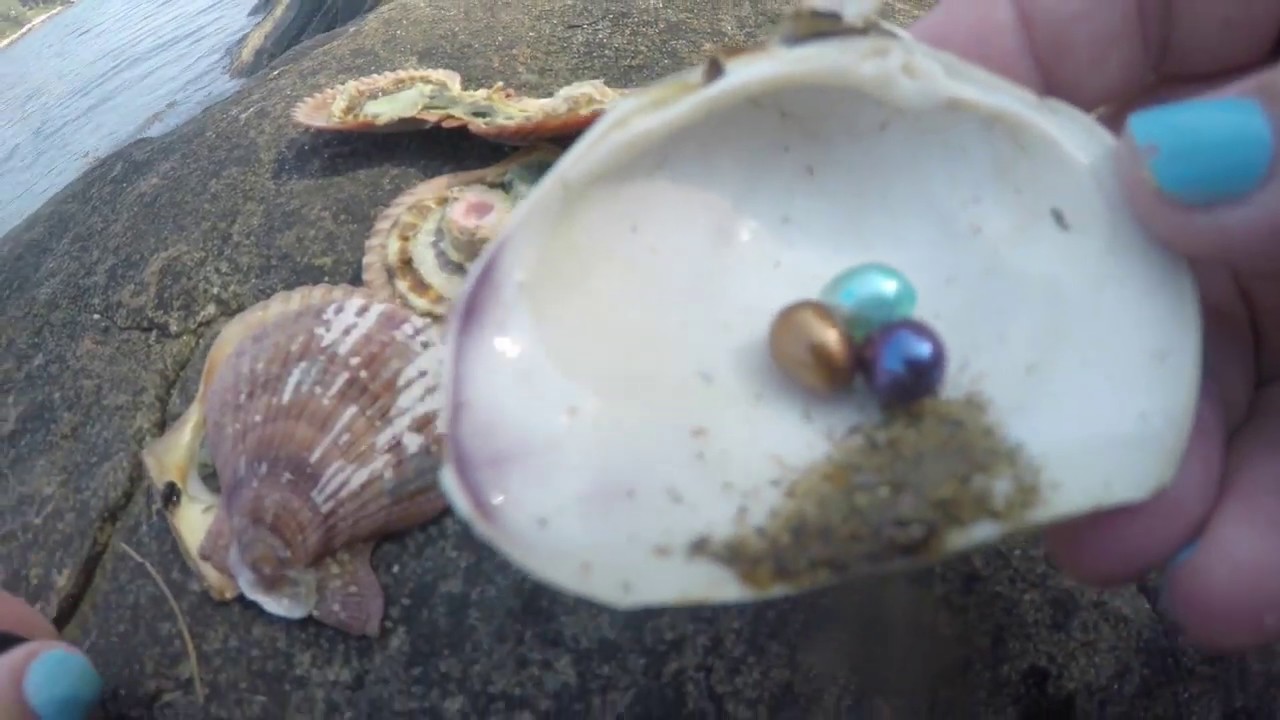 Pearls In Clams