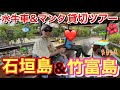 1泊2日で弾丸沖縄旅行したら石垣島と竹富島どっちも楽しめた雨だったけどマンタにも会えたし水牛も貸切ツアーできたしそろそろ沖縄のりいさっぷ出しても良い?