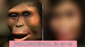 北京原人 Youtube 北京原人 Youtube