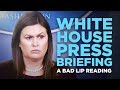 "WHITE HOUSE PRESS BRIEFING" — A Bad Lip Reading