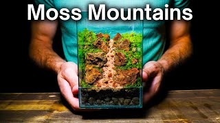 I Made a STUNNING Moss Mountain Terrarium, Here’s How!