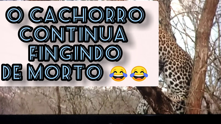 Dog Plays Dead To Escape Leopard in Africa! "Salvo por fingir de morto"😂😂