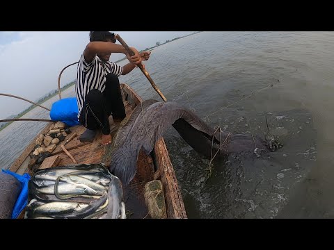 Greatest Fishing Videos of All time @Mostercatfish
