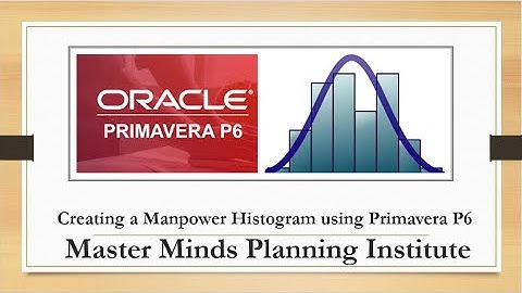 Creating a Manpower Histogram using Primavera P6