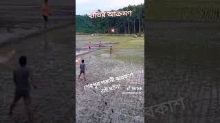 বন্য হাতির আক্রমণ