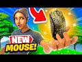 I got sent the *NEW* Finalmouse early! (Top Clips of April) | Bugha