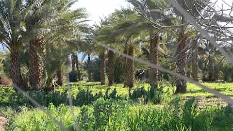 Cosa visitare nel sud del Marocco?