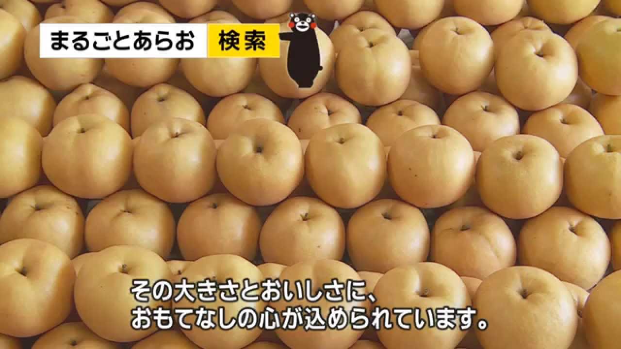 荒尾のジャンボなおもて梨 Arao Nashi Jumbo Pears Youtube