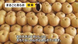 荒尾のジャンボなおもて梨　Arao Nashi Jumbo Pears