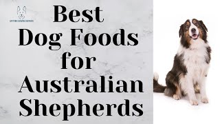 Best Dog Foods for Australian Shepherds by Anything German Shepherd 762 views 6 months ago 1 minute, 4 seconds