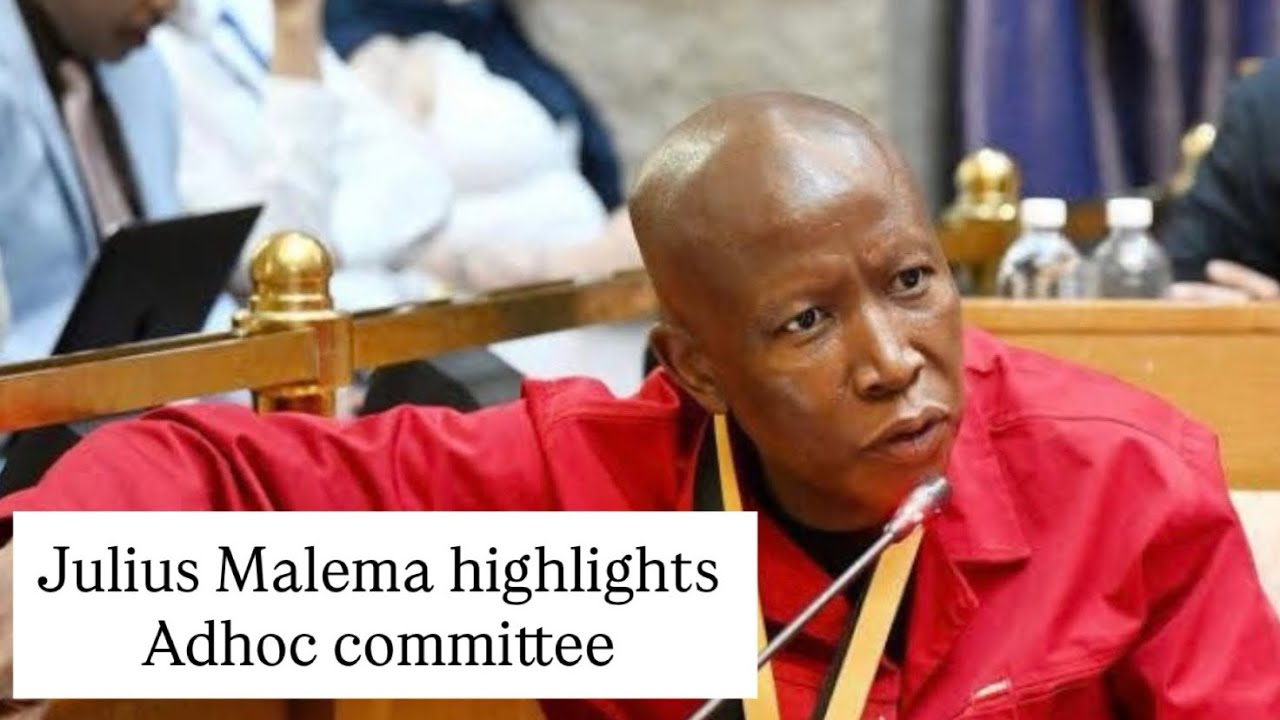 Highlights of Julius Malema - Adhoc committee