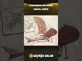 Leonardo da Vinci Uçmayı 500 Yıl Önce Mi Keşfetti? |  #geçmişinsırları #leonardodavinci  #tarih