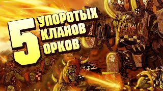 5 Самых Упоротых кланов Орков в Warhammer 40000