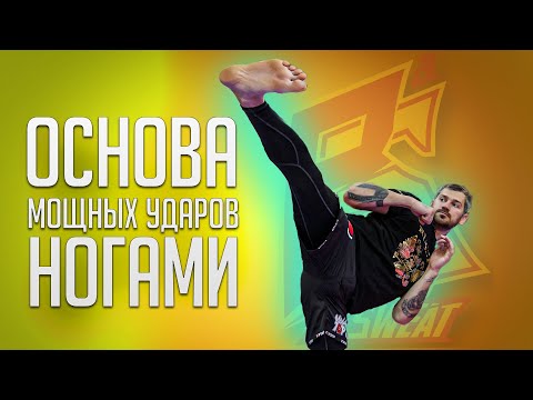 Основа мощных ударов ног / Лучшие упражнения для тренировки сильных ударов ногами