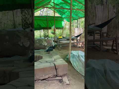 Massive linga hidden at Koh Ker, still in one piece | Secrets in Stone