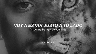 ZAYN - Nusrat (Sub. Español   Lyrics)