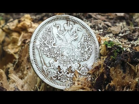 Видео: Кошель монет под старым пнём