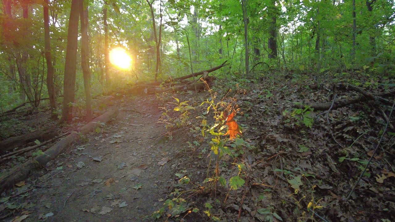 Ann Arbor Walk - 4K 60FPS - Sunrise at Bird Hills Nature Area - Healing Forest - 3D Audio - ASMR