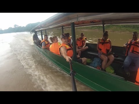jungle-hikes-in-peru's-amazon-rainforest