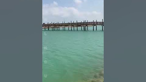 فواتح  سورة ال عمران القارئ عبد العزيز الدسيماني