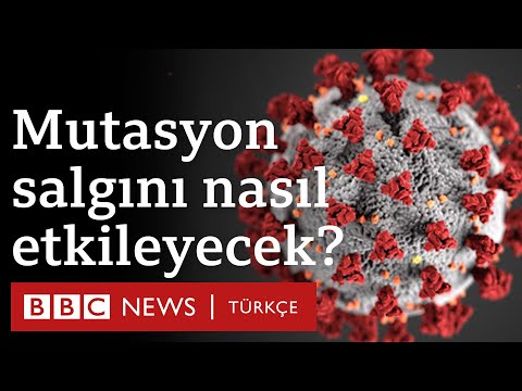 Video: Mutasyonlar nasıl ortaya çıkıyor, yeni bir koronavirüs türü beklemeye değer mi?