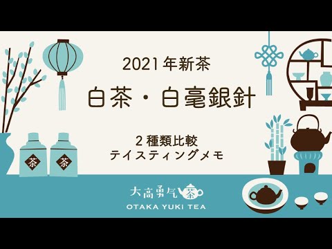 【二種類評茶】2021年白茶・白毫銀針の違いを徹底解説！【中国茶・中国上海】テイスティング